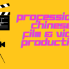 I will produce professional film with your requirement (Previously worked at Channel 4 and other leading institutions)